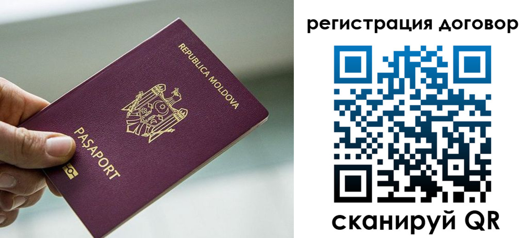 прописка в квартире в Павлово
